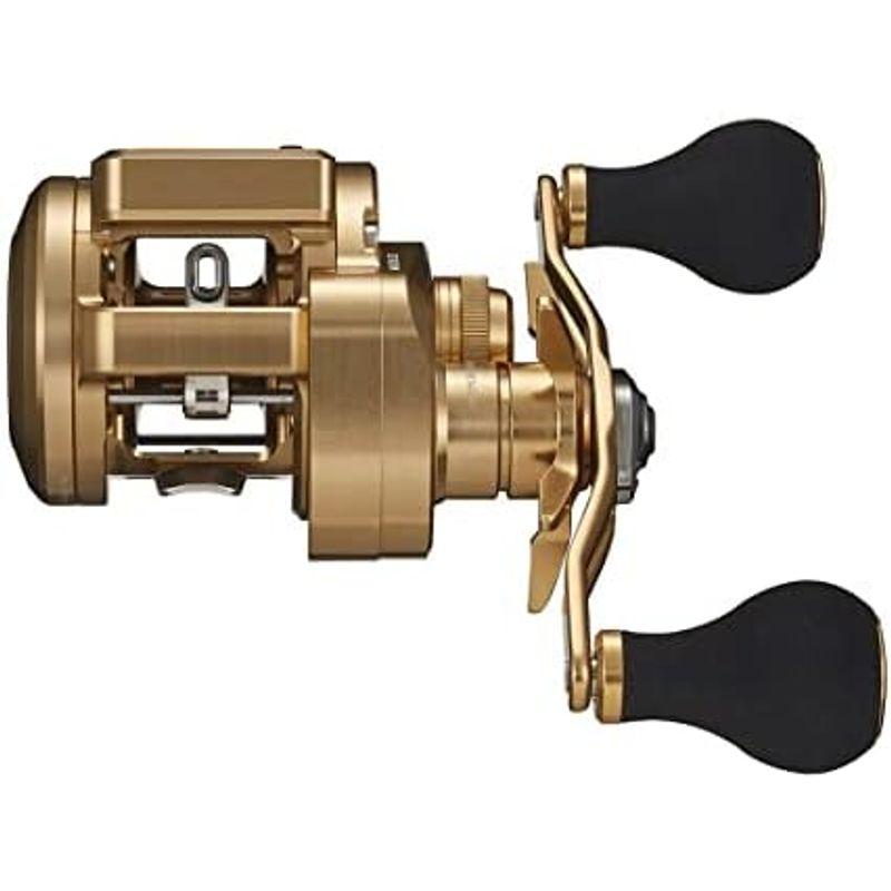 ダイワ(DAIWA) リール 21 バサラ IC 150L
