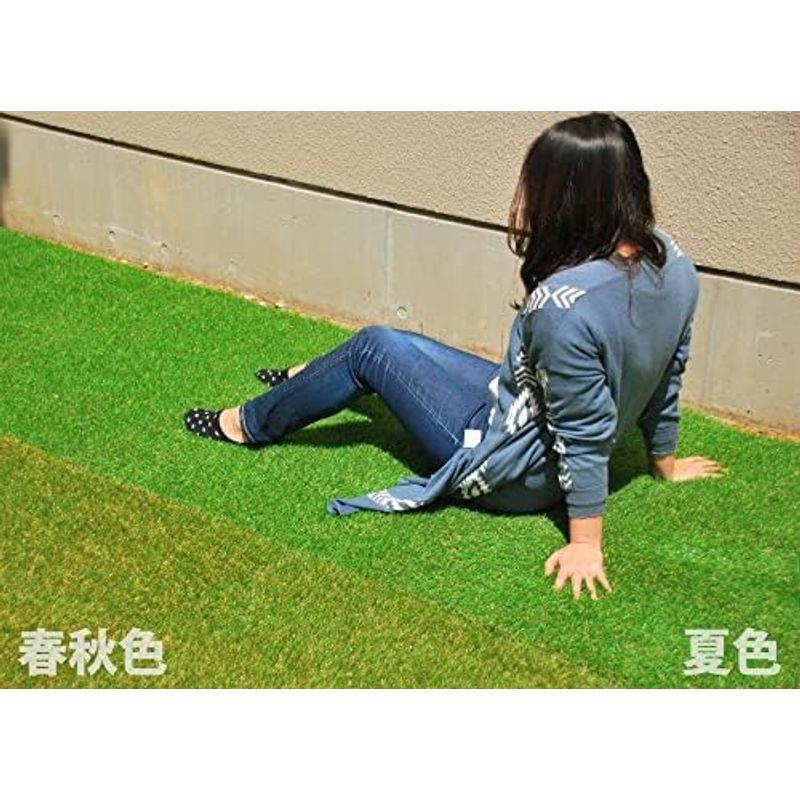 セールネット ガーデンガーデン 色までリアルなロール人工芝 やわらかタイプ 夏色 芝丈20mm 幅1m×2mロール 自然反射加工 安全性検査済 FME-T