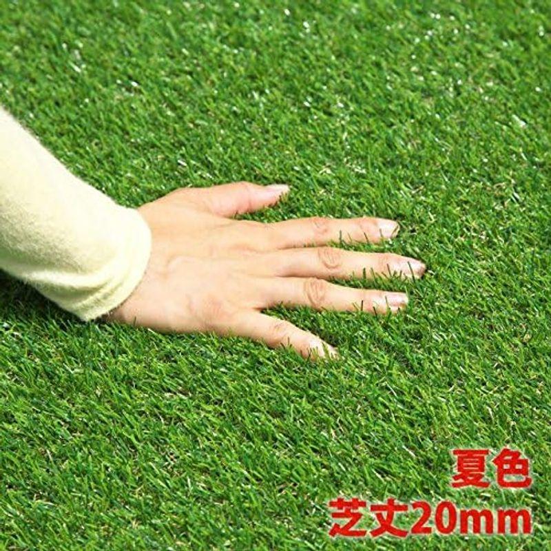 セールネット ガーデンガーデン 色までリアルなロール人工芝 やわらかタイプ 夏色 芝丈20mm 幅1m×2mロール 自然反射加工 安全性検査済 FME-T
