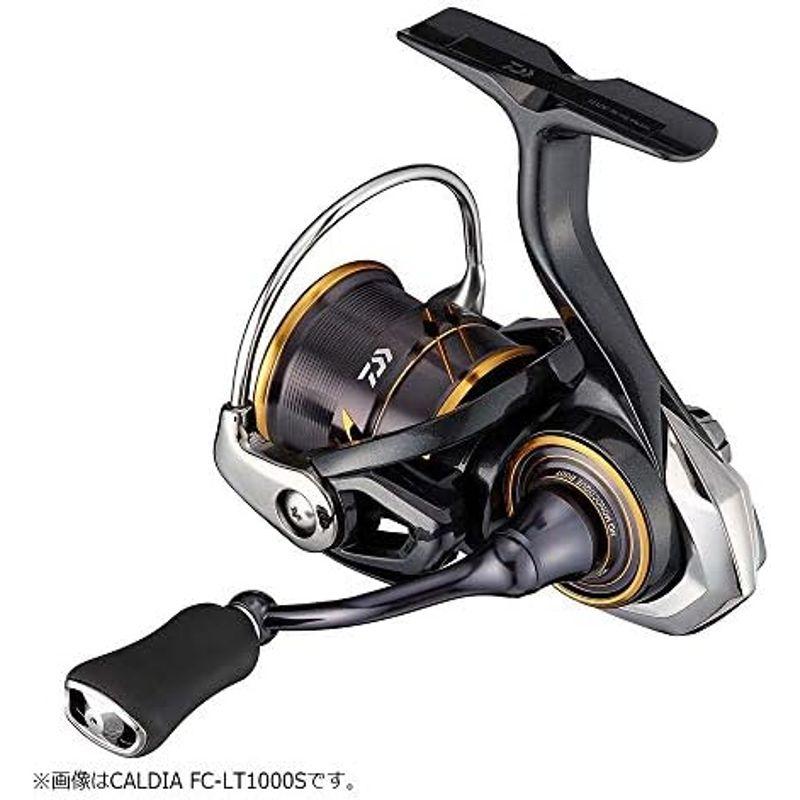 公式オンラインストア ダイワ(DAIWA) 21 カルディア FC LT2000S-H