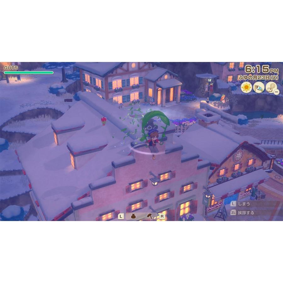 switch ソフトセット 風のグランドバザール ファンタジーライフi 龍の国 switch ソフトセット 風のグランドバザール ファンタジーライフi