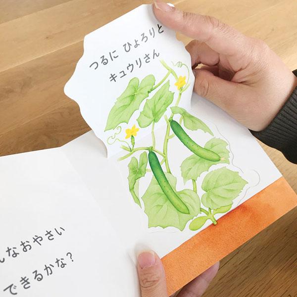 いろんなおやさいどこになる？ コクヨ KE-WC59 絵本 しかけえほん