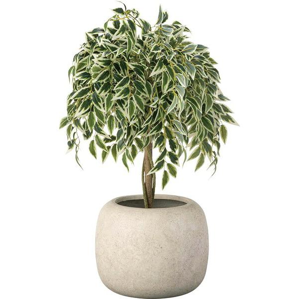 グリーンベース アイボリー 鉢植え 完成品 花瓶 花びん 花器 シンプルモダン おしゃれ オフィス 高級感 北欧 無地 ストーン柄 石目 ラウンド 丸型 円形 | ブランド登録なし | 01