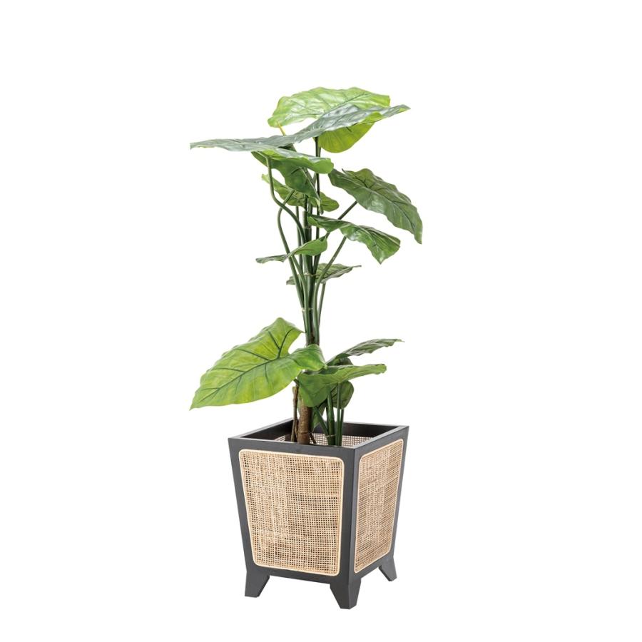 プランターカバー 8号 天然木 ラタン おしゃれ 木製 プランターボックス ポット ガーデニング オブジェ 家具 雑貨 インテリア |  | 01