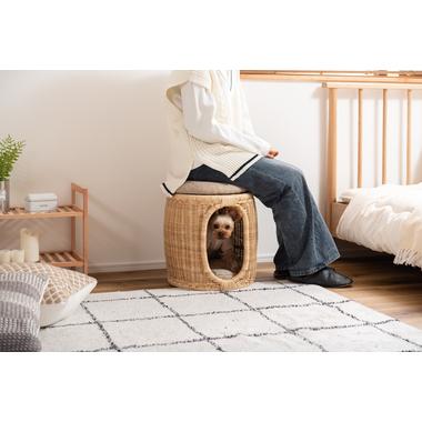 ペットスツール 1人掛け おしゃれ かわいい 腰掛け 玄関椅子 いす 足置き アクセント 軽量 |  | 17