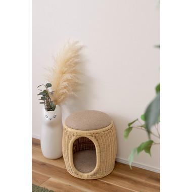 ペットスツール 1人掛け おしゃれ かわいい 腰掛け 玄関椅子 いす 足置き アクセント 軽量 |  | 05