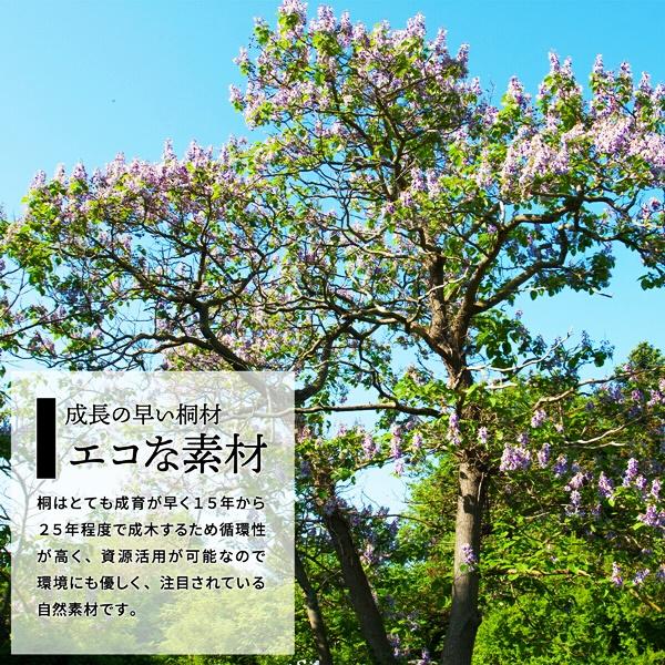 米びつ 5kg キャスター付き 木製 桐 ナチュラル Rice5kg 取っ手 軽量 調湿 防虫 保存容器 スライド 木 桐製 虫除け 乾湿調節 収納 桐材 和風 ライスストッカー | ブランド登録なし | 14