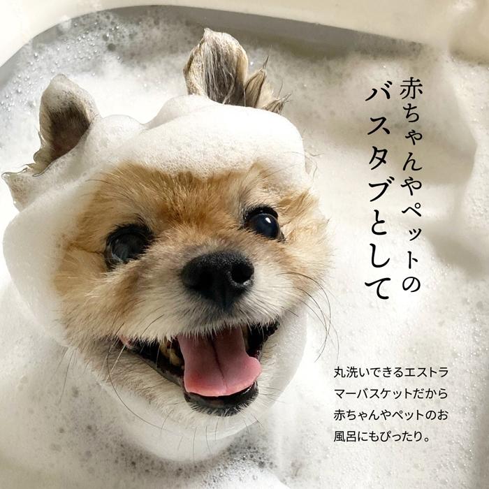 Asoby 3WAY アウトドアバスケット W470×D285×H235mm エストラマーバケツ エストラマー 折りたたみバスケット テーブル付き テーブル トレー 折り畳み |  | 12