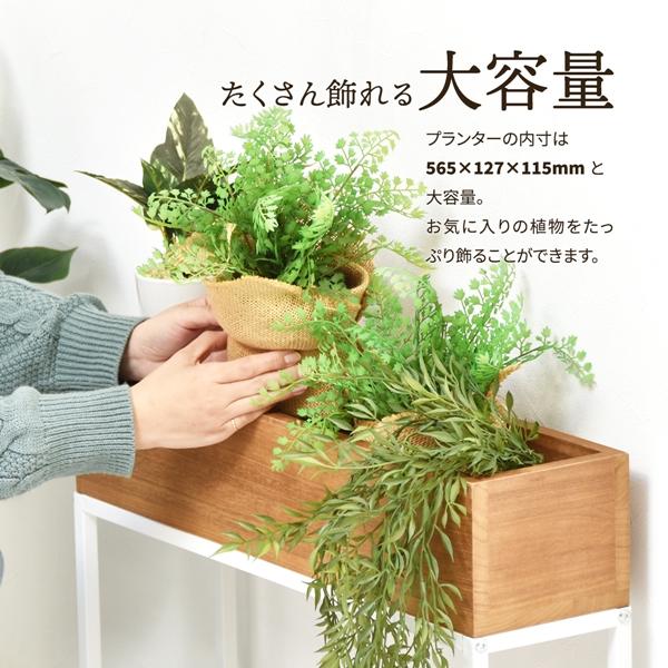 Lidプランターボックス 幅60 屋内 ガーデニング フラワースタンド フラワーボックス プランター台 花台 おしゃれ サイドテーブル |  | 05