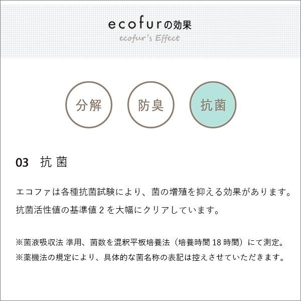エコファシックハウス対策スプレー(300mlタイプ)有害物質の分解、抗菌、消臭効果 ECOFUR 8本セット |  | 05