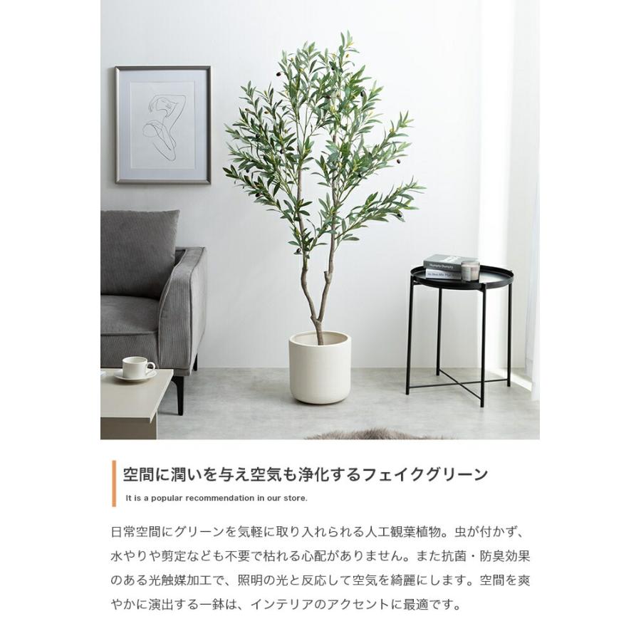 人工観葉植物 光触媒 フェイクグリーン 高さ150cm インテリア 造花 大型 リビング 玄関 飾り 消臭 抗菌 防汚 ホルムアルデヒド分解 グリーン 鉢付き オリーブ | ブランド登録なし | 01