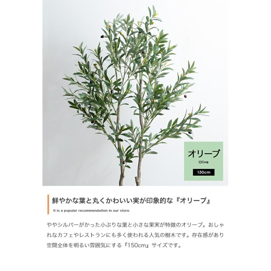人工観葉植物 光触媒 フェイクグリーン 高さ150cm インテリア 造花 大型 リビング 玄関 飾り 消臭 抗菌 防汚 ホルムアルデヒド分解 グリーン 鉢付き オリーブ | ブランド登録なし | 03