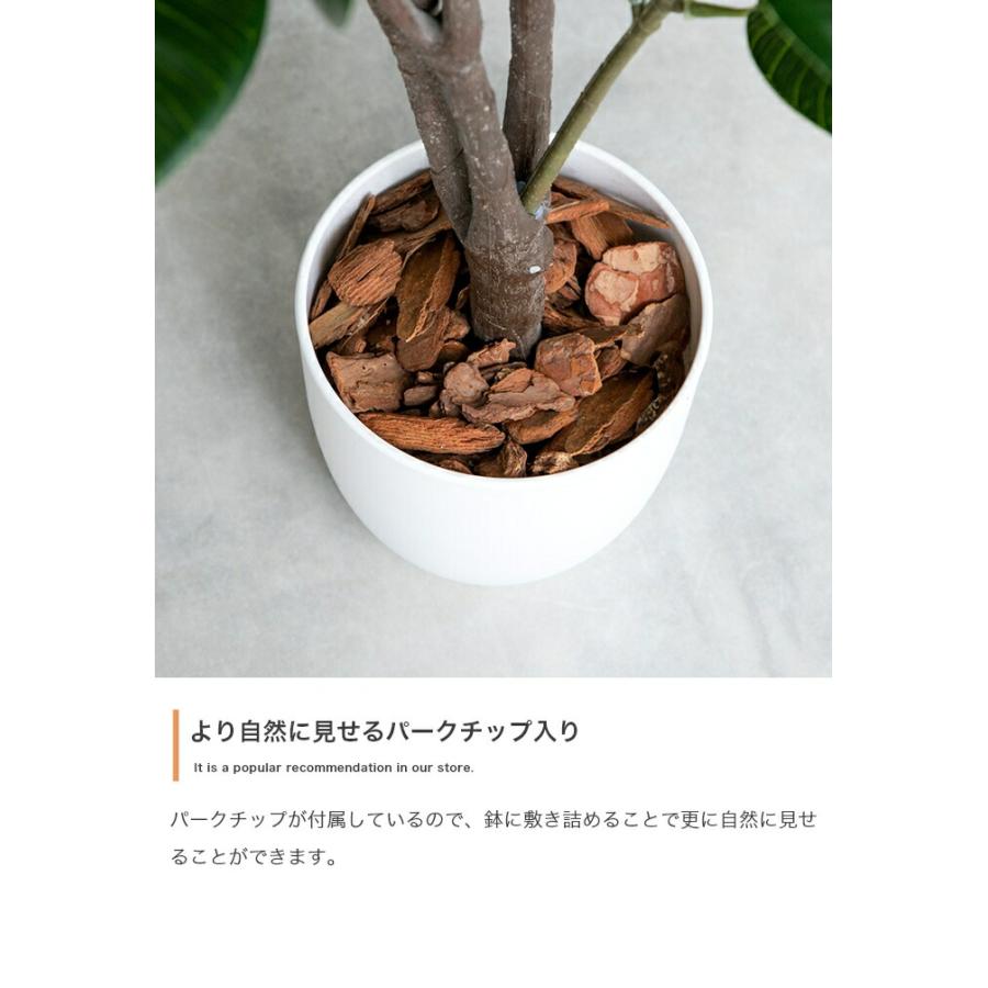 人工観葉植物 光触媒 フェイクグリーン 高さ150cm インテリア 造花 大型 リビング 玄関 飾り 消臭 抗菌 防汚 ホルムアルデヒド分解 グリーン 鉢付き オリーブ | ブランド登録なし | 06