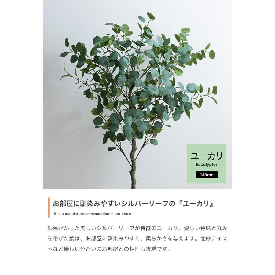 人工観葉植物 光触媒 フェイクグリーン 高さ150cm インテリア 造花 大型 リビング 玄関 飾り 消臭 抗菌 防汚 ホルムアルデヒド分解 グリーン 鉢付き ユーカリ | ブランド登録なし | 03