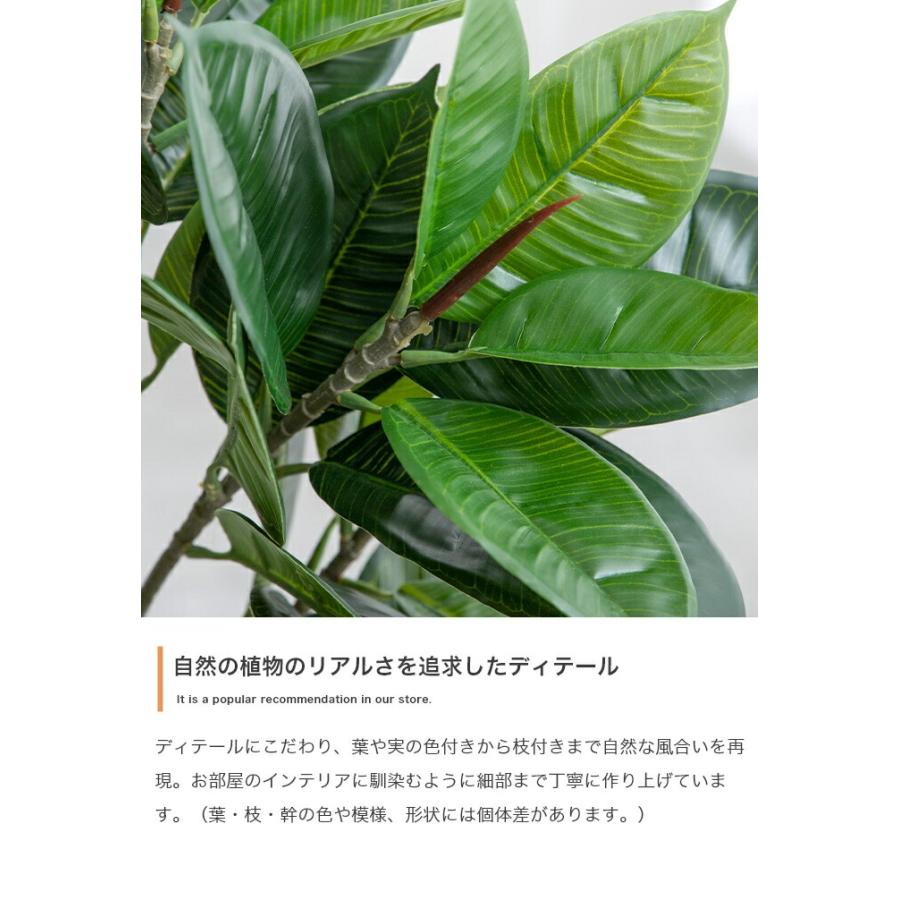 人工観葉植物 光触媒 フェイクグリーン 高さ150cm インテリア 造花 大型 リビング 玄関 飾り 消臭 抗菌 防汚 ホルムアルデヒド分解 グリーン 鉢付き ユーカリ | ブランド登録なし | 05