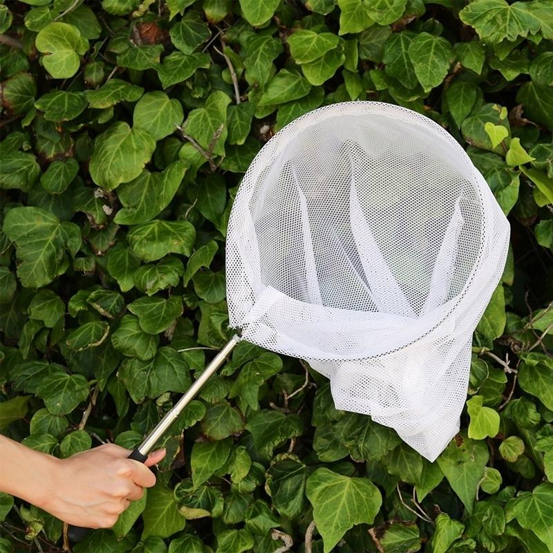 6個セット まとめ買い 虫取り網 伸縮式 ３０ Ｘ １３０ＣＭ 軽量 コンパクト アウトドア 捕獲網 昆虫採集 昆虫網 |  | 06