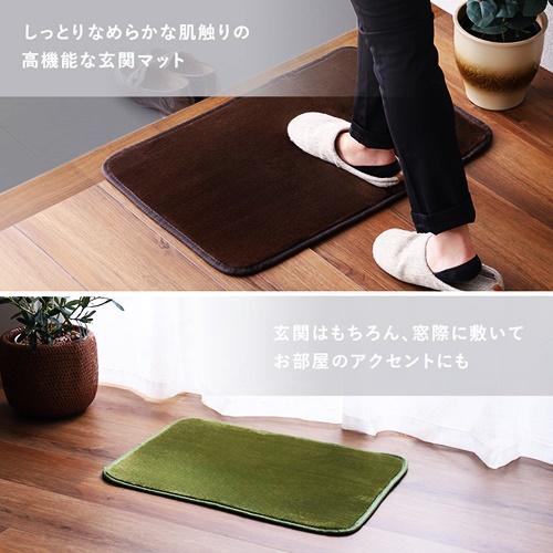 玄関マット 45×65cm 洗える 玄関ラグ 無地 アメジスト カーキ ベージュ ブラウン グリーン グレー ピンク おしゃれ シンプル モダン かわいい 北欧 和モダン |  | 04