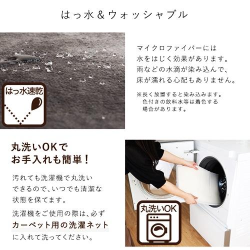 玄関マット 45×65cm 洗える 玄関ラグ 無地 アメジスト カーキ ベージュ ブラウン グリーン グレー ピンク おしゃれ シンプル モダン かわいい 北欧 和モダン |  | 07