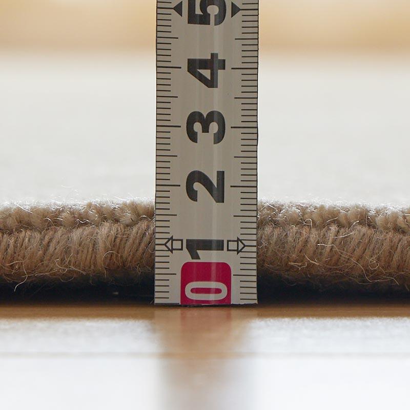 玄関マット 50x80cm ベージュ ルミィ タッセル オールシーズン 一年中 春夏秋冬 ウール おしゃれ シンプル 無地 モダン 和モダン アジアン 北欧 エスニック イン | ブランド登録なし | 07