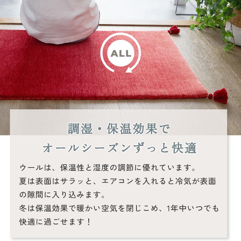 玄関マット 50x80cm レッド ルミィ タッセル オールシーズン 一年中 春夏秋冬 ウール おしゃれ シンプル 無地 モダン 和モダン アジアン 北欧 エスニック インテ | ブランド登録なし | 15