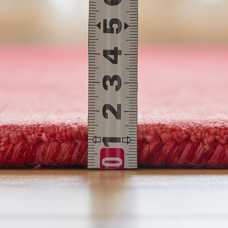 玄関マット 50x80cm レッド ルミィ タッセル オールシーズン 一年中 春夏秋冬 ウール おしゃれ シンプル 無地 モダン 和モダン アジアン 北欧 エスニック インテ | ブランド登録なし | 07