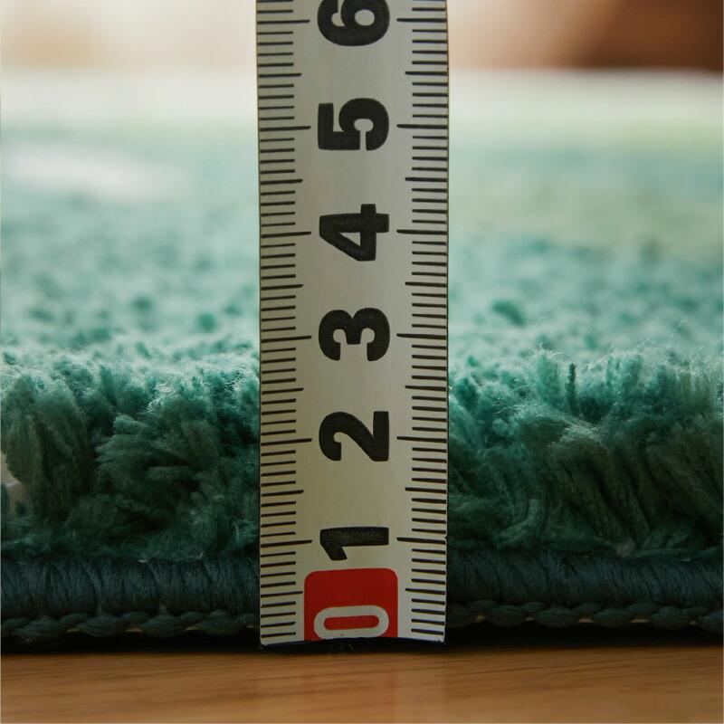 玄関マット モンステラ 75x90cm グリーン 洗える 洗濯機対応 すべり止め ホットカーペット対応 ウォッシャブル リーフ柄 マイクロファイバー 立体感 緑色 インテ | ブランド登録なし | 03