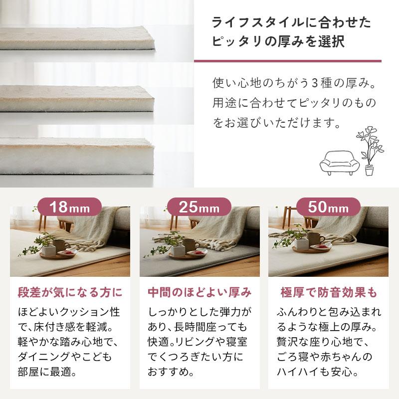 ホリデープラス 高反発18mm 235x235cm ベージュ 高反発ウレタン はっ水加工 低ホルムアルデヒド 遮音 防音 すべり止め ホットカーペットカバー シンプル 無地 リ | ブランド登録なし | 02