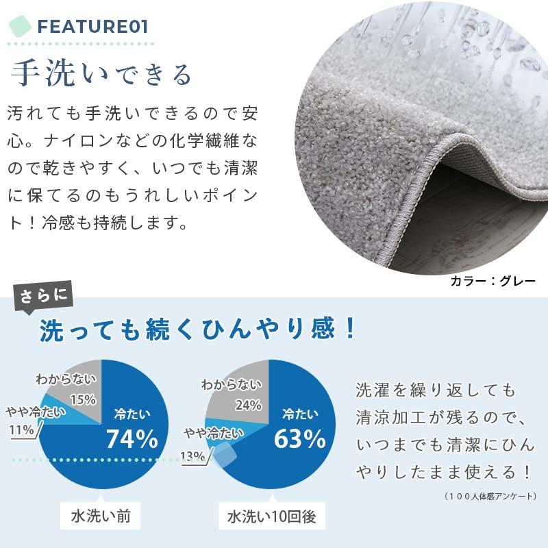 ラグカーペット 130x190cm ブルーグリーン オアシス2 ラグマット 無地 シンプル 洗える 冷感 すべり止め 防ダニ 抗菌・防臭 低ホルムアルデヒド ホットカーペッ | ブランド登録なし | 10