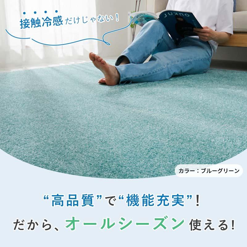 ラグカーペット 130x190cm ブルーグリーン オアシス2 ラグマット 無地 シンプル 洗える 冷感 すべり止め 防ダニ 抗菌・防臭 低ホルムアルデヒド ホットカーペッ | ブランド登録なし | 06