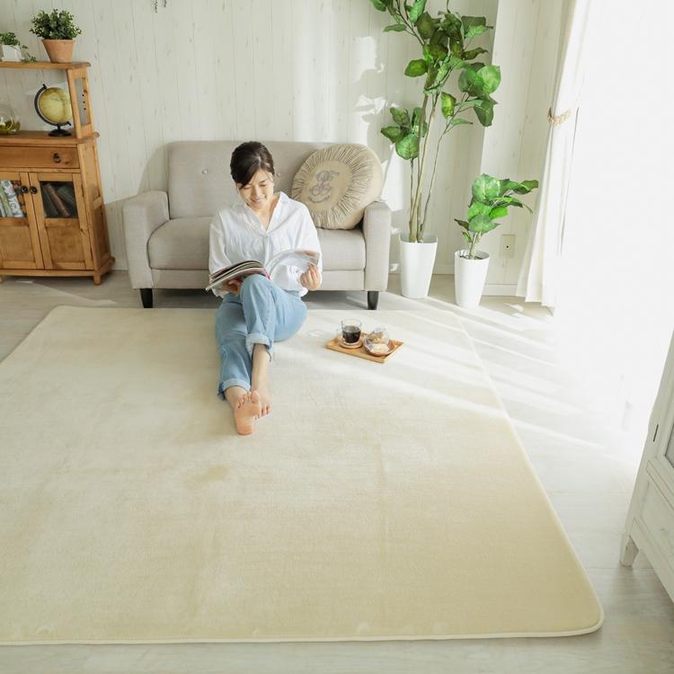 130x190cm ホリデープラス ロングビーチ ラグ マット リビングラグ すべり止め加工 はっ水 撥水 洗える オールシーズン ホットカーペット 床暖房 高級感 |  | 01