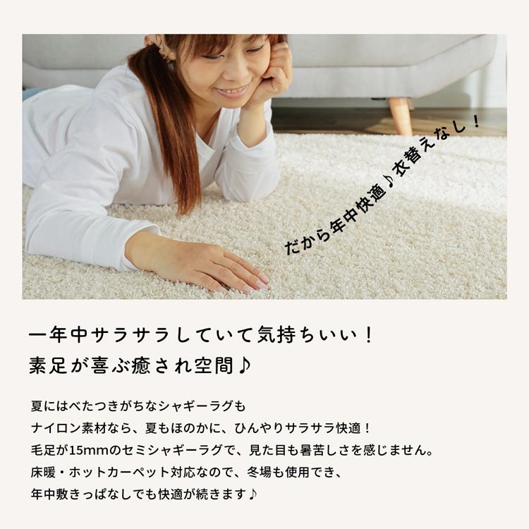 130x190cm ジェム パール ラグ マット リビングラグ 防炎 防ダニ 抗菌 防臭 洗える オールシーズン おしゃれ ホットカーペット 床暖房 高級感 |  | 06