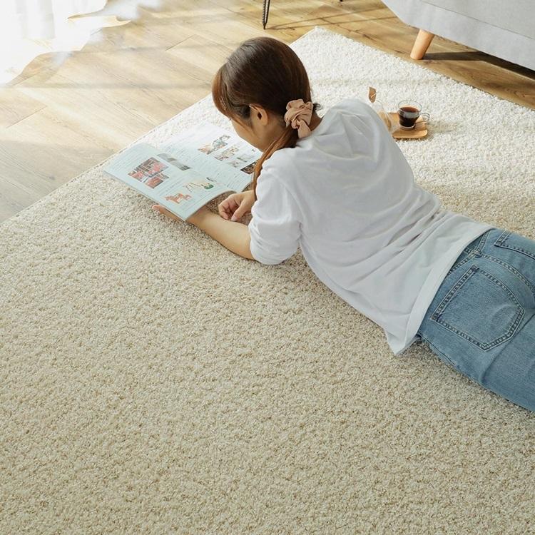 130x190cm ジェム コハク ラグ マット リビングラグ 防炎 防ダニ 抗菌 防臭 洗える オールシーズン おしゃれ ホットカーペット 床暖房 高級感 |  | 01