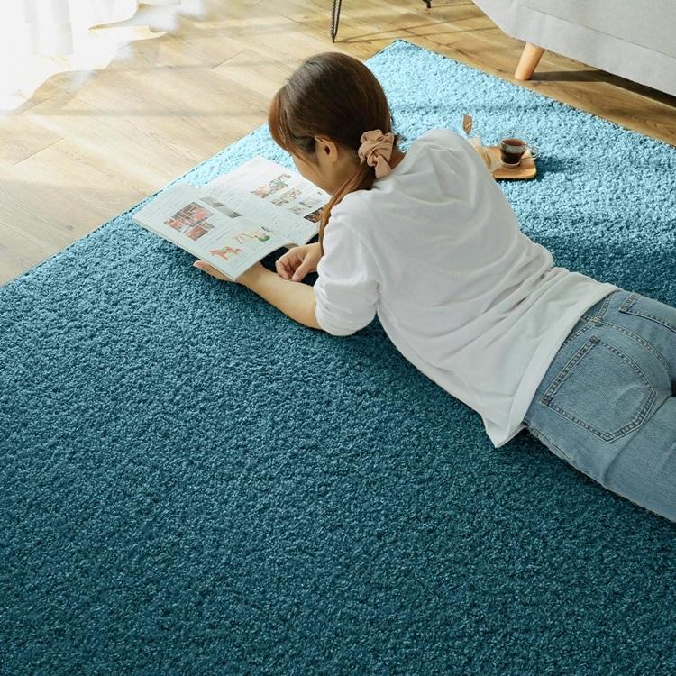 130x190cm ジェム アパタイト ラグ マット リビングラグ 防炎 防ダニ 抗菌 防臭 洗える オールシーズン おしゃれ ホットカーペット 床暖房 高級感 |  | 01