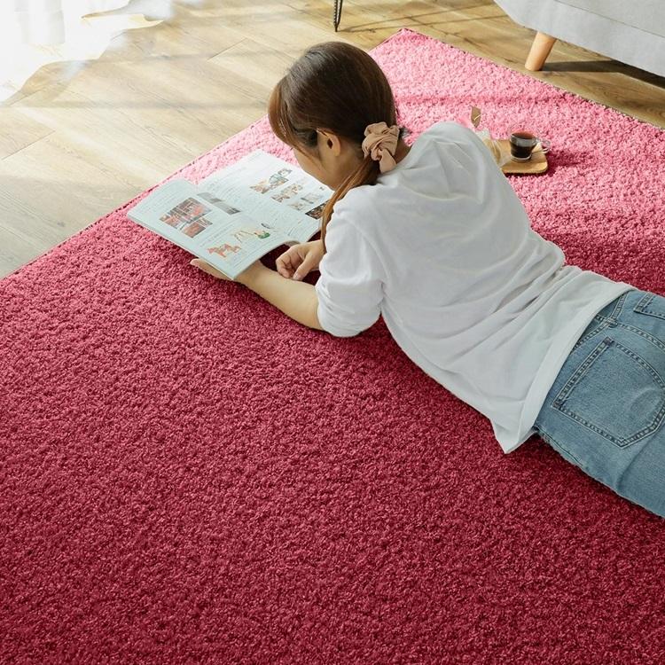 190x190cm ジェム ルビー ラグ マット リビングラグ 防炎 防ダニ 抗菌 防臭 洗える オールシーズン おしゃれ ホットカーペット 床暖房 高級感 |  | 01