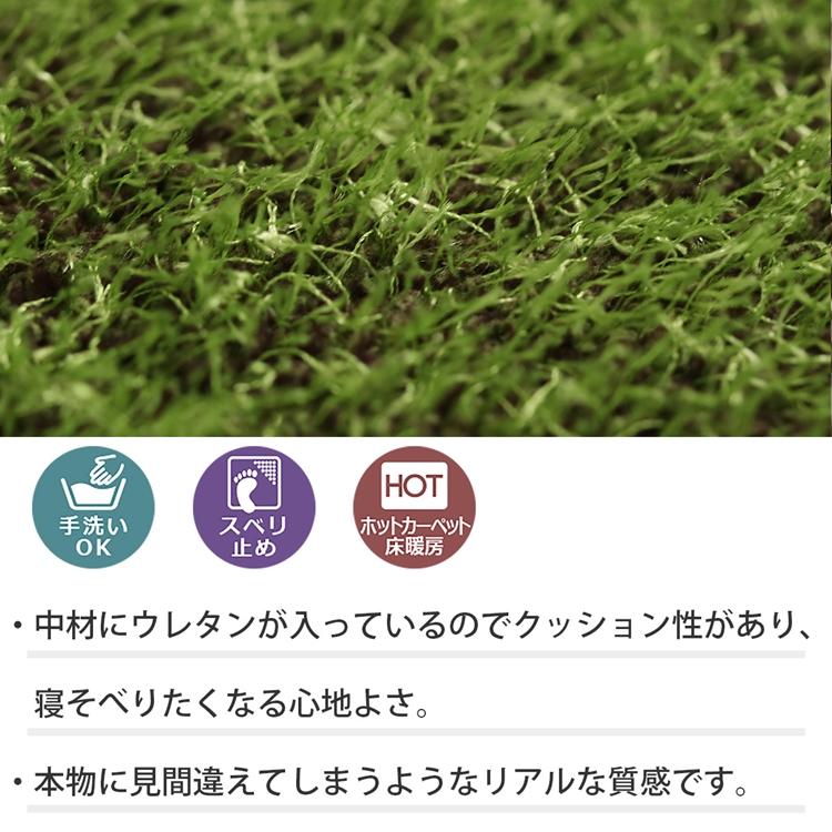 ヴェールマット 50x80cm マット 玄関マット エントランス すべり止め加工 洗える オールシーズン おしゃれ ホットカーペット 床暖房 高級感 |  | 01