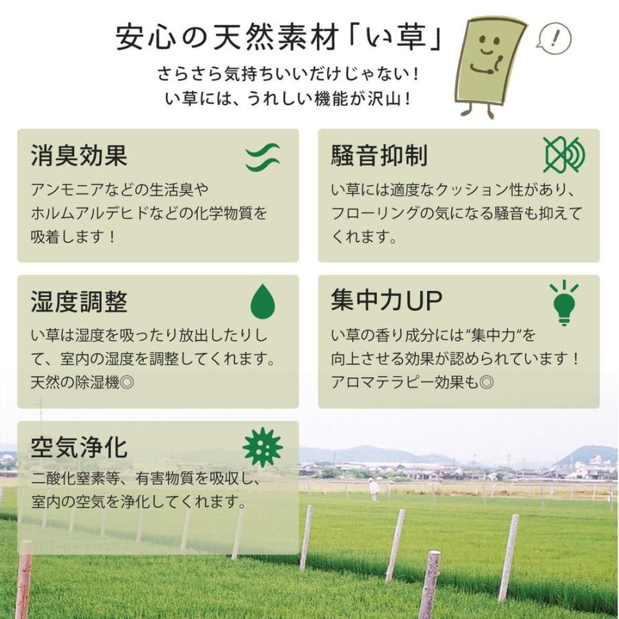 い草 純国産上敷 引目織 い草 畳上敷き 畳 い草 茣蓙 い草マット センターラグ リビングラグ マット 琥珀 江戸間6畳 約261×352cm カーペット 防カビ シンプル |  | 05