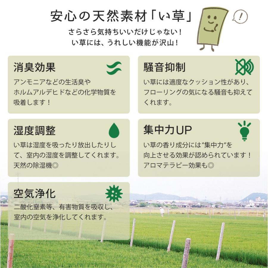 い草 置き畳 ユニット畳 軽量 単品1枚 フローリング畳 システム畳 滑りにくい加工付き 置畳 南風 ネイビー 和洋 アジアンモダン オールシーズン 滑り止め付き |  | 04