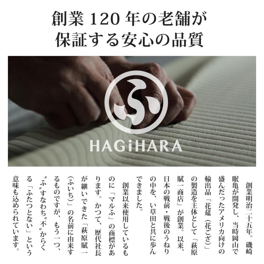 9枚入 置き畳 シャイン 約82cm ユニット畳 軽量 すべり止め付き フローリング畳 システム畳 置畳 和洋 アジアンモダン オールシーズン 昼寝 ごろ寝 和モダン |  | 02