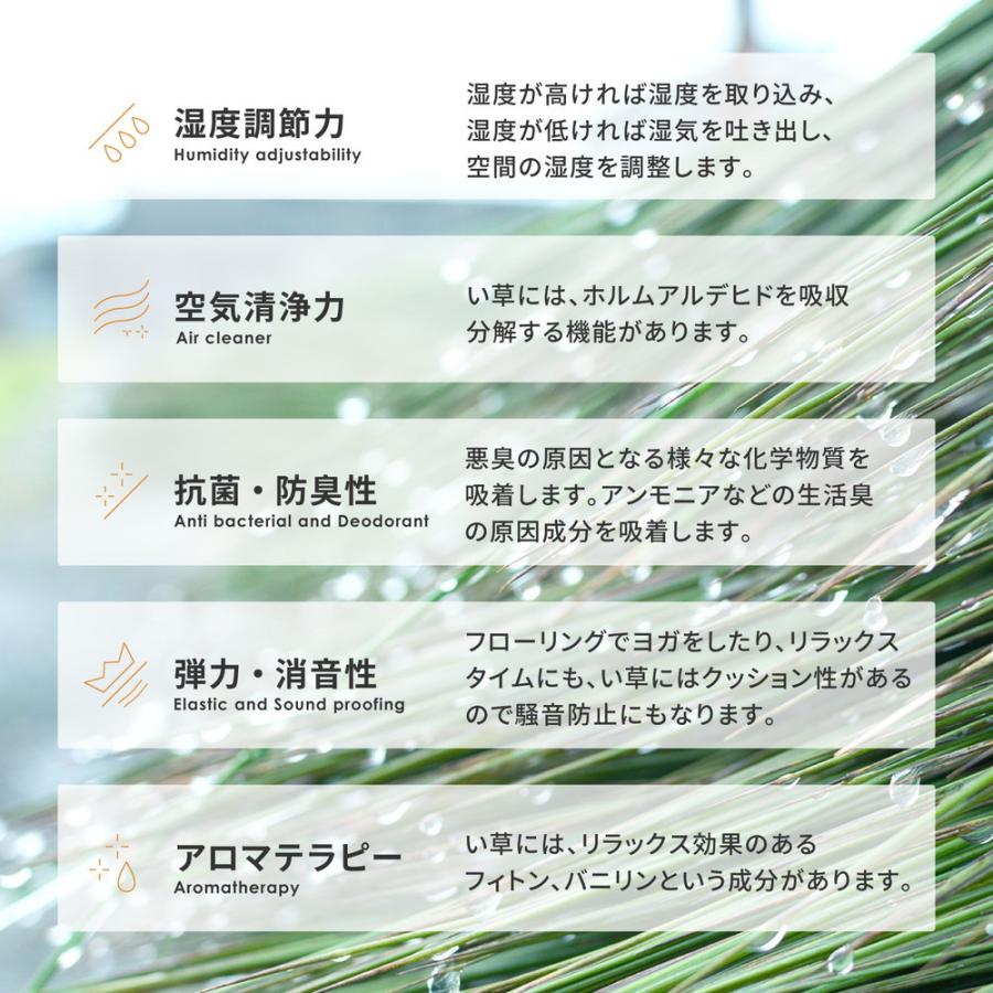 い草 4つ折り 畳マットレス シャイン シングル 約100×200cm 置き畳 折りたためるマット ヨガマット ストレッチマット 敷マット 抗菌防臭 湿度調整 ラグマット |  | 05