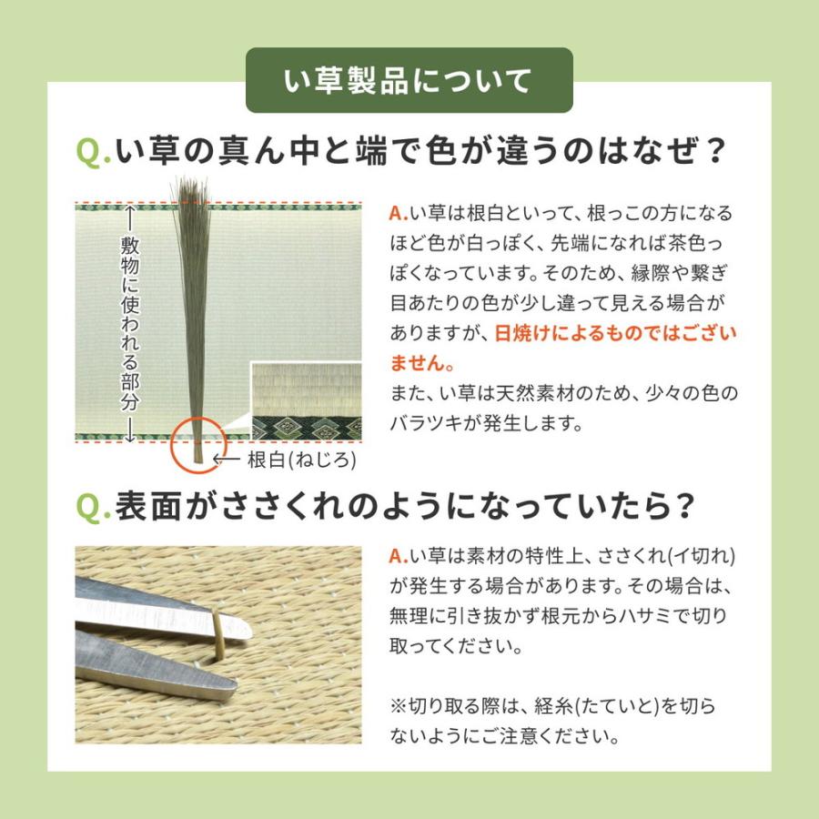 置き畳 約82×82×2.5 9枚セット 半畳 縁なし い草×樹脂素材 滑り止め付 調湿 抗菌 ブルー/ブラウン/グリーン/ライトグリーン/ナチュラル フロア畳 ユニット畳 | ブランド登録なし | 17