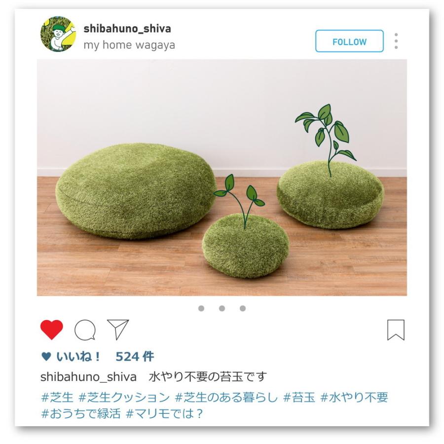 芝生風クッション シーヴァ Mサイズ 約60R×11cm もちもちクッション 背当てクッション 座布団代わり お昼寝枕 おしゃれ シンプル |  | 07