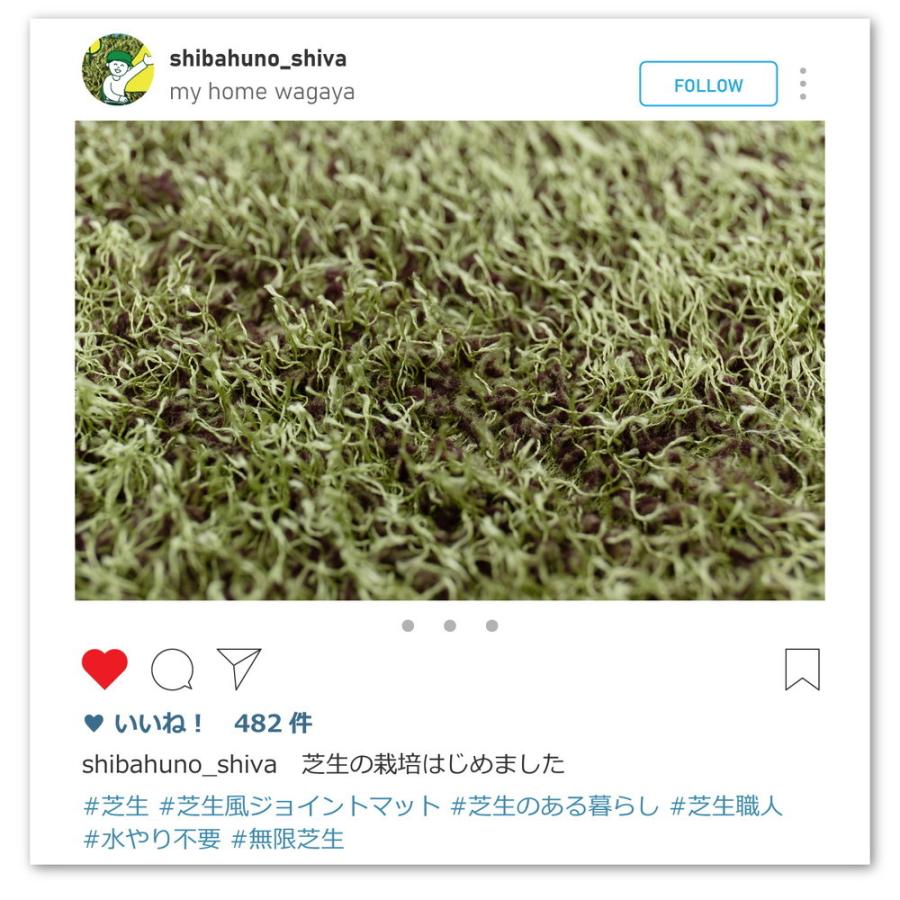 【9枚入】芝生風ジョイントマット 約60×60×0.8cm シーヴァ 防音対策 おしゃれ クッション性 プレイマット ラグ カーペット シンプル 敷き物 敷物 子供部屋 |  | 13