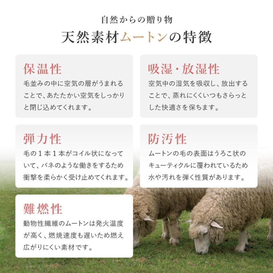 ムートンクッション 約40×40cm ピンク ローズクッション 羊毛 薔薇 バラ シートクッション 座布団 ファブリック 布製 チェアパッド チェアクッション かわいい | ブランド登録なし | 05