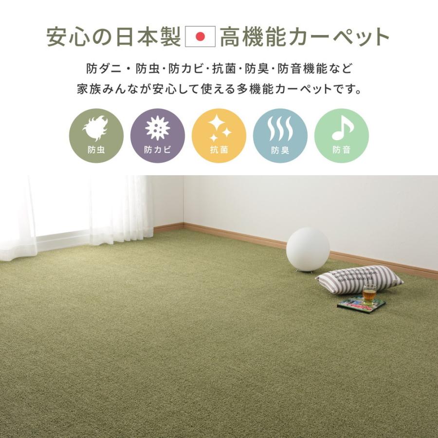 多機能カーペット スティーマ 江戸間10畳 約352×440cm 長方形 アース防ダニ 防虫 防カビ 抗菌 防臭 防音 ホットカーペット 床暖房OK センターラグ マット |  | 02