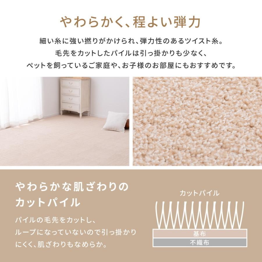 多機能カーペット スティーマ 江戸間10畳 約352×440cm 長方形 アース防ダニ 防虫 防カビ 抗菌 防臭 防音 ホットカーペット 床暖房OK センターラグ マット |  | 05