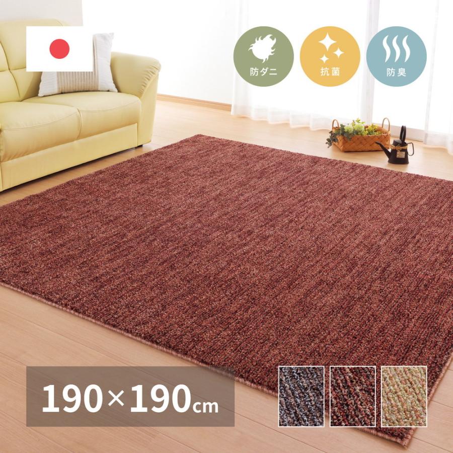 タフトラグ マイス 約190×190cm 正方形 防ダニ 抗菌 防臭基布 ホットカーペット 床暖房OK 日本製 オールシーズン ラグ カーペット かわいい  センターラグ | 
