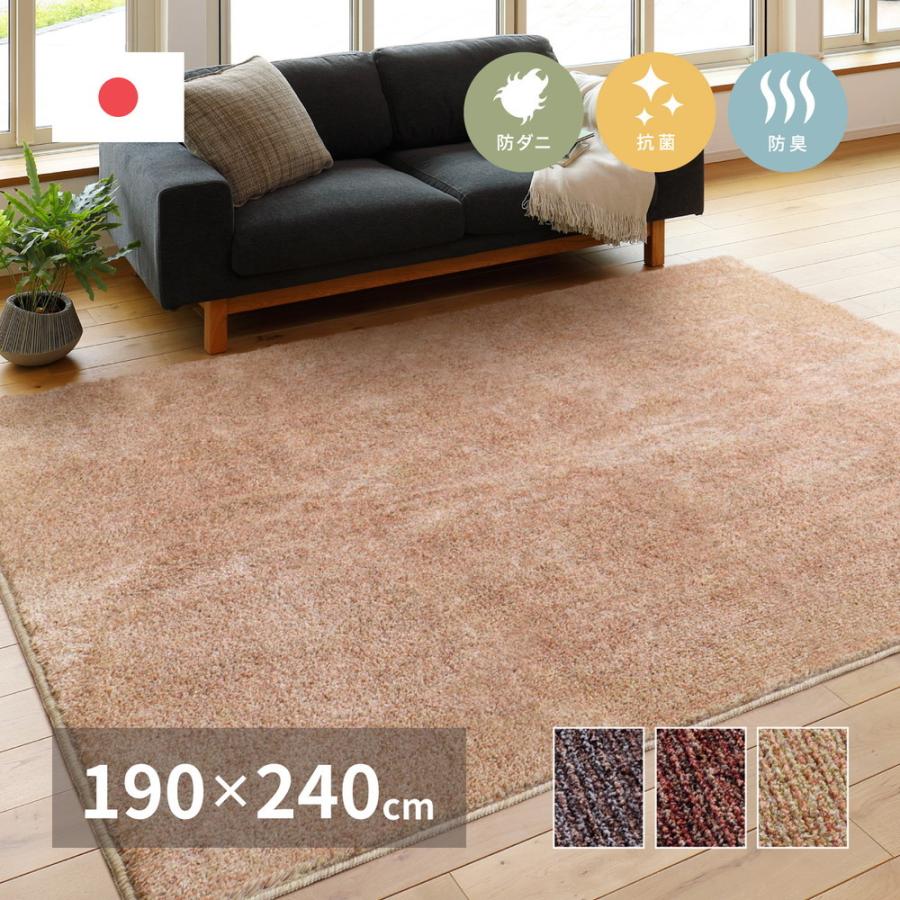 タフトラグ マイス 約190×240cm 長方形 防ダニ 抗菌 防臭基布 ホットカーペット 床暖房OK 日本製 オールシーズン ラグ カーペット かわいい  センターラグ | 