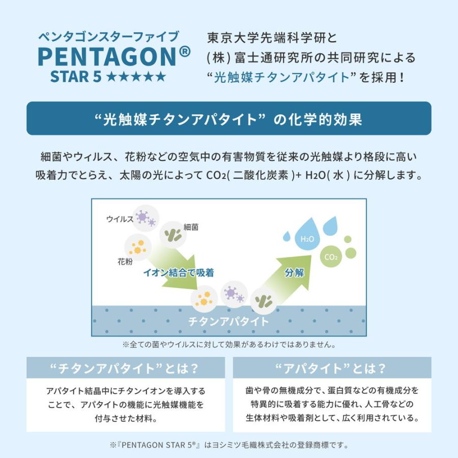 タフトラグ ランバス 約185×240cm 長方形 抗ウイルス 抗アレルゲン 消臭 抗菌防臭 防ダニ加工 ホットカーペット 床暖房OK 日本製 ラグ カーペットセンターラグ |  | 03