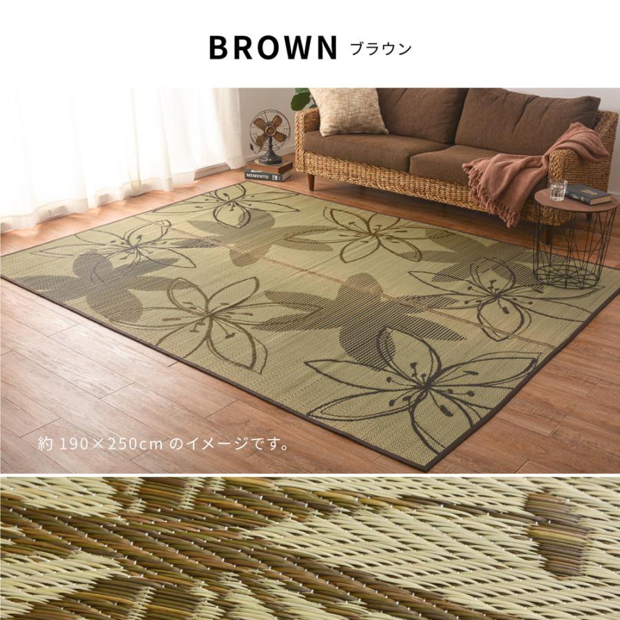 い草センターラグ 裏貼り フェアリー 約230×330cm 長方形 紋織 い草 畳上敷き 畳 い草 茣蓙 い草マット センターラグ リビングラグ マット カーペット シンプル |  | 09