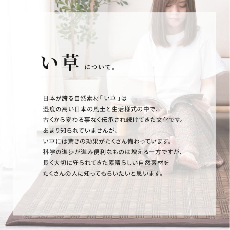 い草ラグ ウレタン入り コンパクト収納 裏貼有 防音 畳上敷き 畳 茣蓙 い草マット センターラグ  仙名 約180×240cm マット ラグマット カーペット 防カビ |  | 08